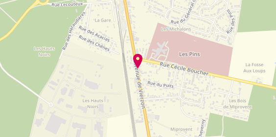 Plan de Flash Service, Centre Commercial Intermarche
Avenue de Vierzon, 41600 Lamotte-Beuvron